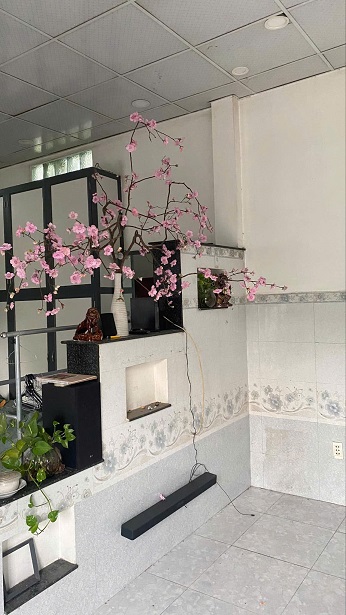 Bán Nhà Cấp 4 Đẹp, Giá Rẻ Tại Hóc Môn, TP Hồ Chí Minh
