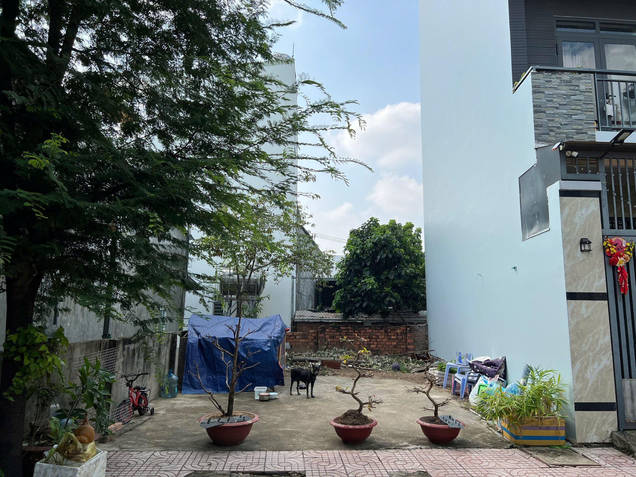 Đất nền tại Đường Thạnh Xuân, Quận 12, TP.HCM với diện tích 56 m2 và giá 3,4 tỷ đang chờ đón chủ nhân mới.