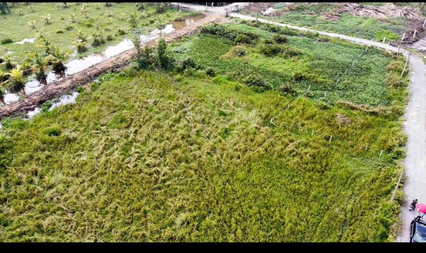BÁN ĐẤT THỔ CƯ 3000m² – VỊ TRÍ ĐẸP TẠI TP. THỦ ĐỨC – GẦN QUỐC LỘ, CHỢ, UBND, TIỀM NĂNG ĐẦU TƯ .