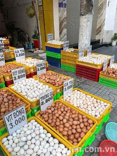 Do làm thêm việc khác không có thời gian ngồi bán cần hợp tác hoặc sang nhượng lại cửa hàng kinh doanh trứng gia cầm