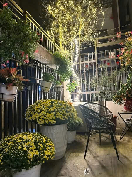 Vũ đình Tụng, lô góc , nhà vườn . Ngõ ô tô 7 chỗ tránh