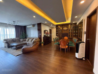 GIỎ HÀNG CHO THUÊ CĂN HỘ SUNRISE CITY – CẬP NHẬT HÀNG NGÀY