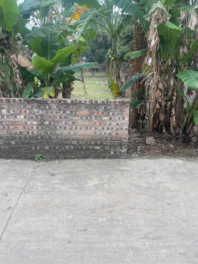 Bán lô đất đẹp – Vị trí đẹp tại Thanh Trí, Minh Phú, Sóc Sơn, Hà Nội