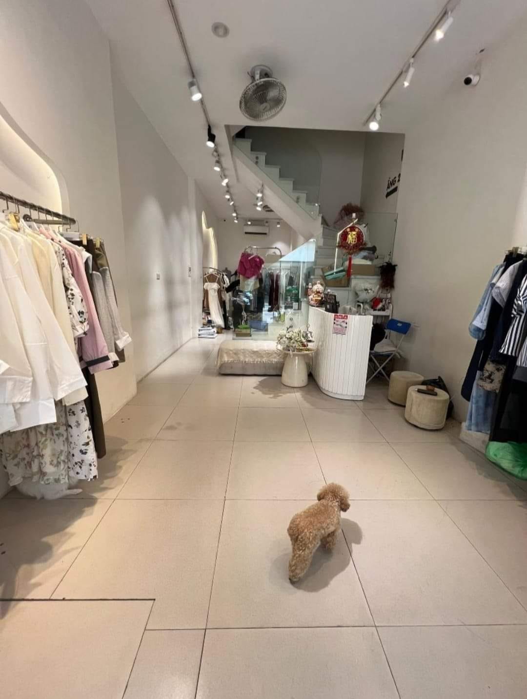 Bán nhà mặt phố Mễ Trì, Nam Từ Liêm, 60m2, 5 tầng vị trí kinh doanh