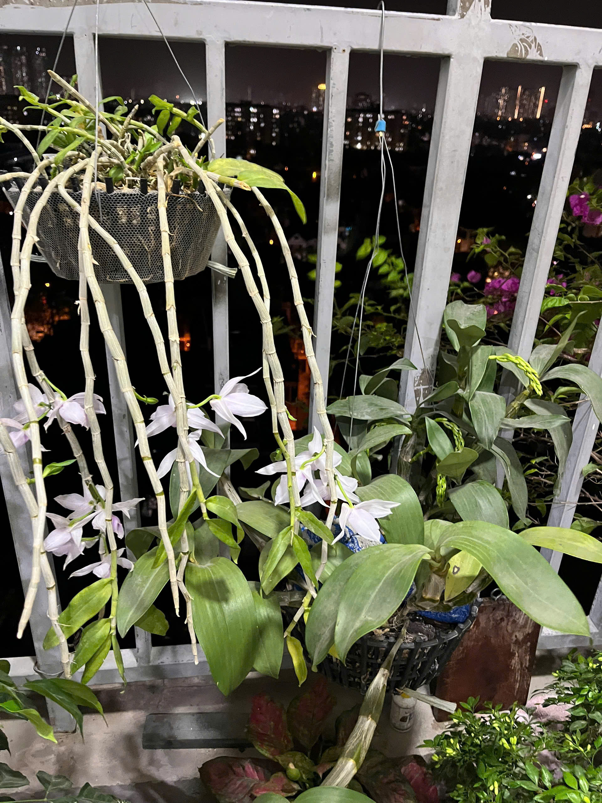 CĂN HỘ ĐẸP – GIÁ TỐT – Vị Trí Đắc Địa Tại Tòa B Chung cư AZ Sky Định Công, Quận Hoàng Mai, Hà Nội