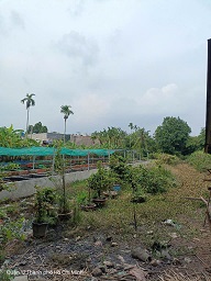 Cần bán gấp lô đất 2337m2 ngay Chợ Cầu, Thạnh Xuân 52, Phường Thạnh Xuân, Q12