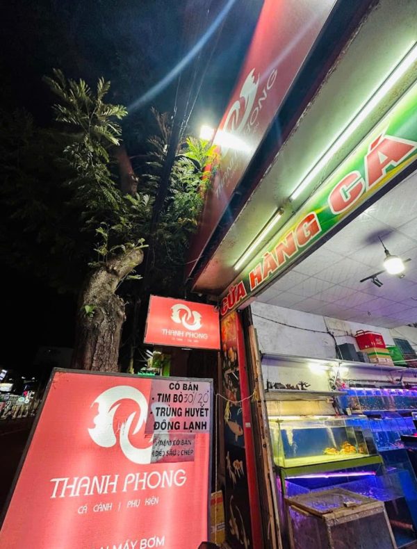 Quận 7 ! Sang Tiệm – Cửa Hàng Cá Cảnh , MT 51 nguyễn thị thập, p tân phú, Tel : 0793984540 – 0902658742 ( Chính chủ )