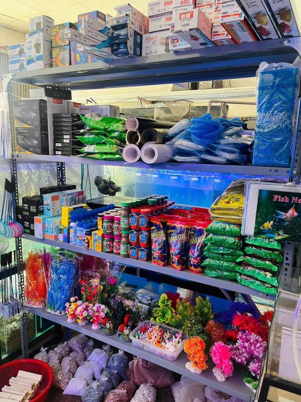 Quận 7 ! Sang Tiệm – Cửa Hàng Cá Cảnh , MT 51 nguyễn thị thập, p tân phú, Tel : 0793984540 – 0902658742 ( Chính chủ )