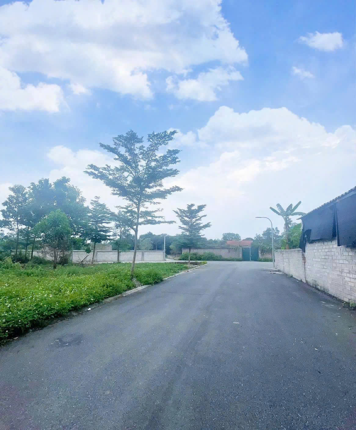 Siêu phẩm Lô góc 110m2 rẻ nhất Đồng Trạng – VIP nhất Cổ Đông – Thành Phố Hà Nội
