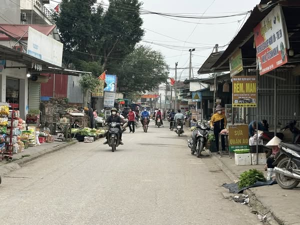 100m kinh doanh mặt trục xã phú nghĩa-hà nội