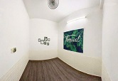 Cho Thuê Nhà Nguyên Căn Mặt Tiền – Đường Linh Trung, Thủ Đức, HCM – Phù Hợp Mở Văn Phòng – Spa – Ở Lâu Dài