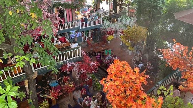 Bán quán CAFE “Phố Xưa” ngang 24m 3 lầu sân vườn 624m2 MTKD Nguyễn Ảnh Thủ chỉ 49 tỷ