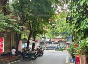 Mảnh đất vàng KDT Đại Kim – Nguyễn Cảnh Dị, vỉa hè, ô tô tránh, 55m,mt 4m, 18.5 tỷ
