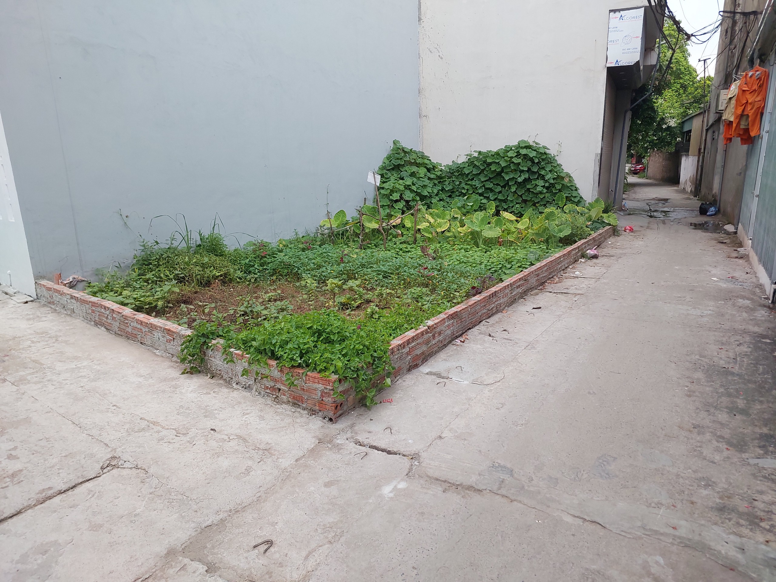 📢 ĐẤT ĐẤU GIÁ ĐỨC THƯỢNG – GIÁ 4.X TỶ!