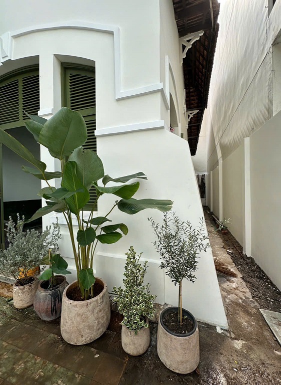 Chính Chủ Cho Thuê Villa Phong Cách Indochine – Mặt Tiền Trần Quốc Toản, Quận 3