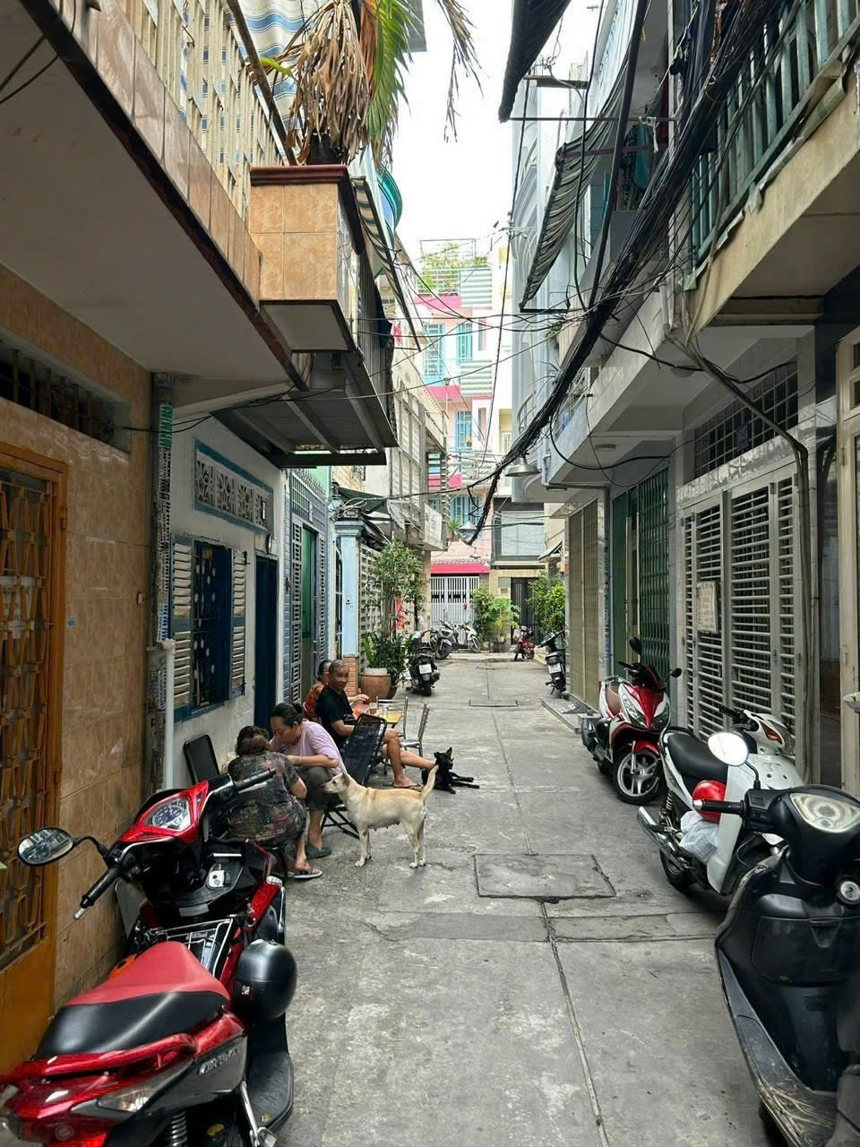 Chính Chủ Cần Bán Nhà Vị Trí Đẹp – Giá Tốt Tại Nguyễn Văn Cừ, Phường 2, Quận 5, TP HCM
