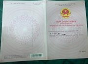 CHÍNH CHỦ CẦN BÁN LÔ ĐẤT 169M² – THƯỜNG TÍN, HÀ NỘI – GIÁ SIÊU RẺ