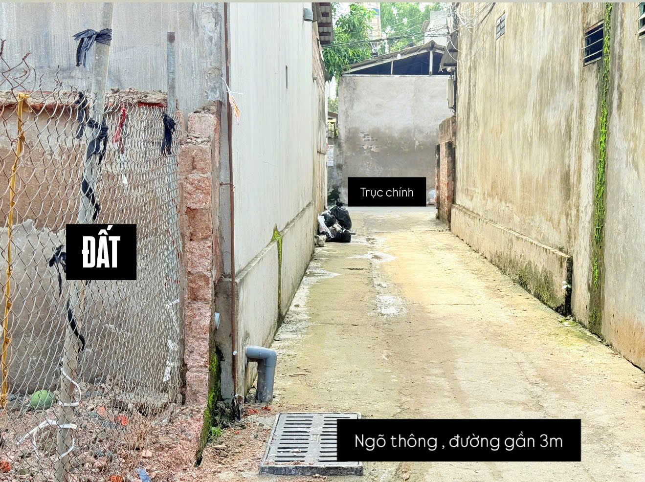 HOT !!! SỞ HỮU NGAY LÔ ĐẤT ĐẸP – GIÁ F0 – Vị Trí Đắc Địa Tại Phụng Thượng, Phúc Thọ, TPHN
