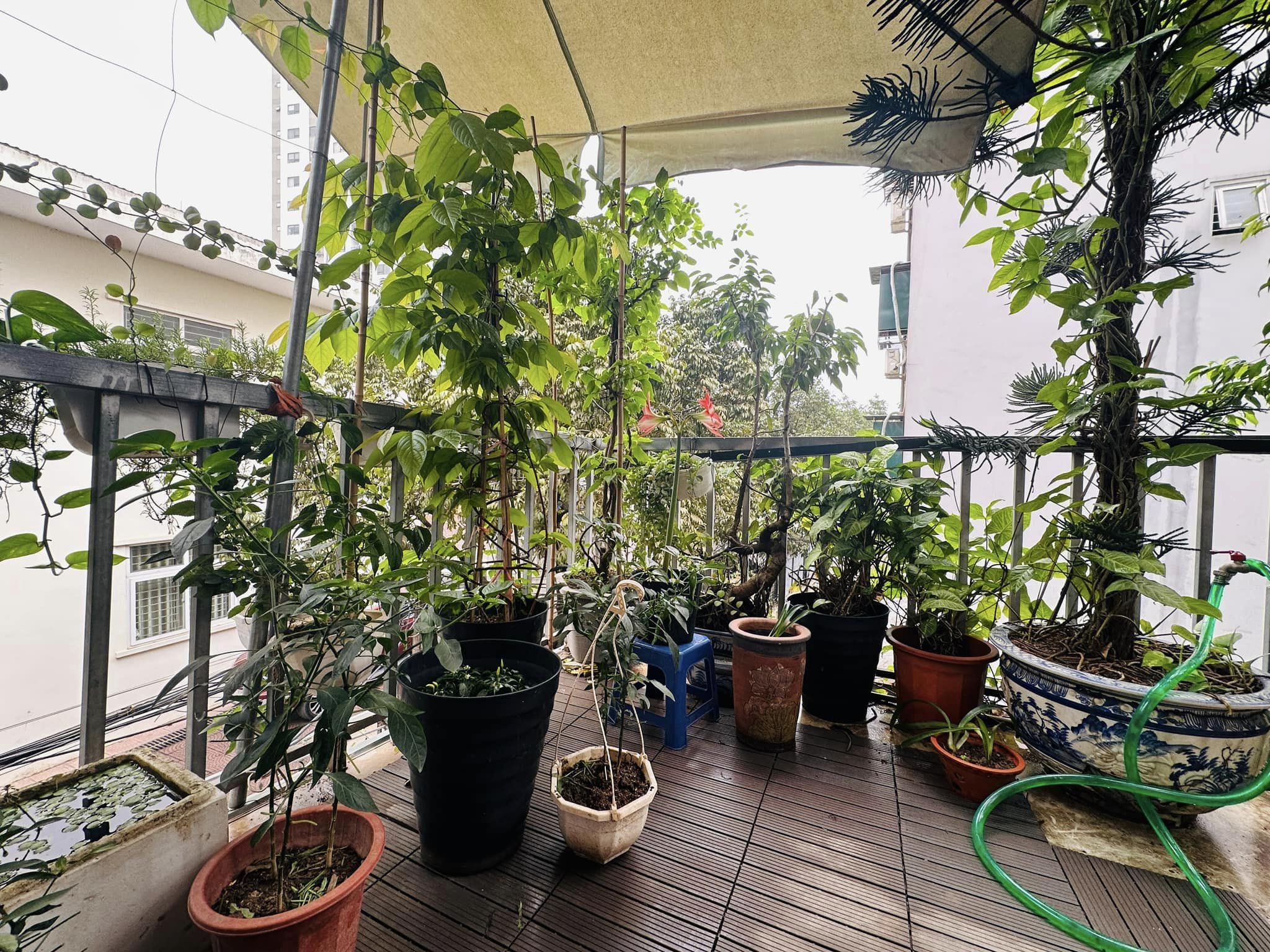 🔥 SIÊU HIẾM – DUY NHẤT 1 CĂN Ở BẮC TỪ LIÊM – CÁCH UBND QUẬN CHỈ 500M – GIÁ 4,2 TỶ