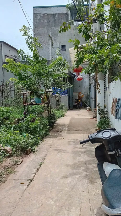 Bán đất Quang Trung – Hà Đông vuông đẹp 65m đầu tư sinh lời, xây ccmn, chdv đều phù hợp cách ô tô 15m giá 8.2 tỷ.