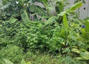 48m2 Đất Đấu giá Ao Ngòi Xã Hoài Đức
