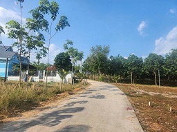 CHÍNH CHỦ CẦN BÁN GẤP – CẮT LỖ SÂU