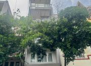 **Bán nhà hẻm 305 Lê Văn sỹ** p1, Tân Bình (6×20) CHDV dòng tiền