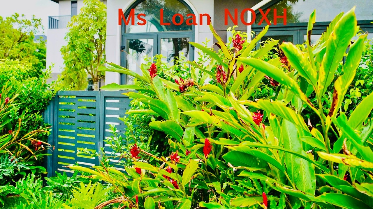 Nhà ở xã hội nhưng tiện ích đẳng cấp như thương mại đăng ký ngay