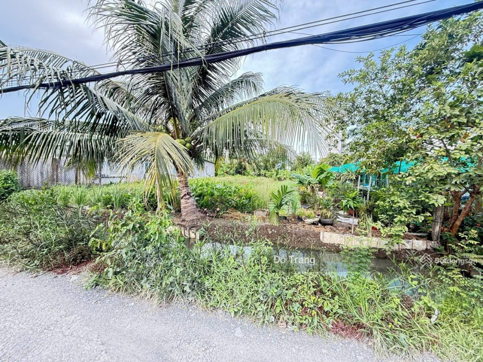 Đất 7.5x27m, 1 sẹc ngắn Thạnh Xuân 33 – giá cực tốt! Xây Biệt Thự, CHDV, kho xưởng