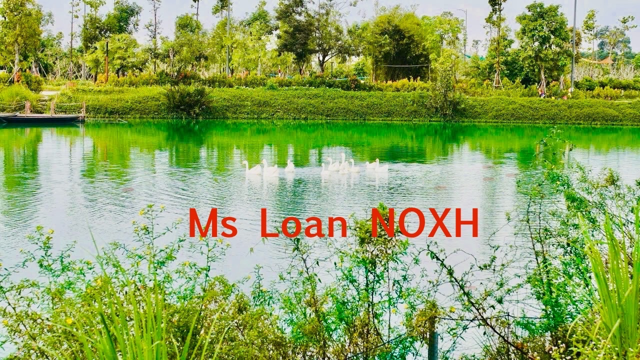 Căn hộ xã hội pháp lý chuẩn an tâm sở hữu đăng ký liền tay