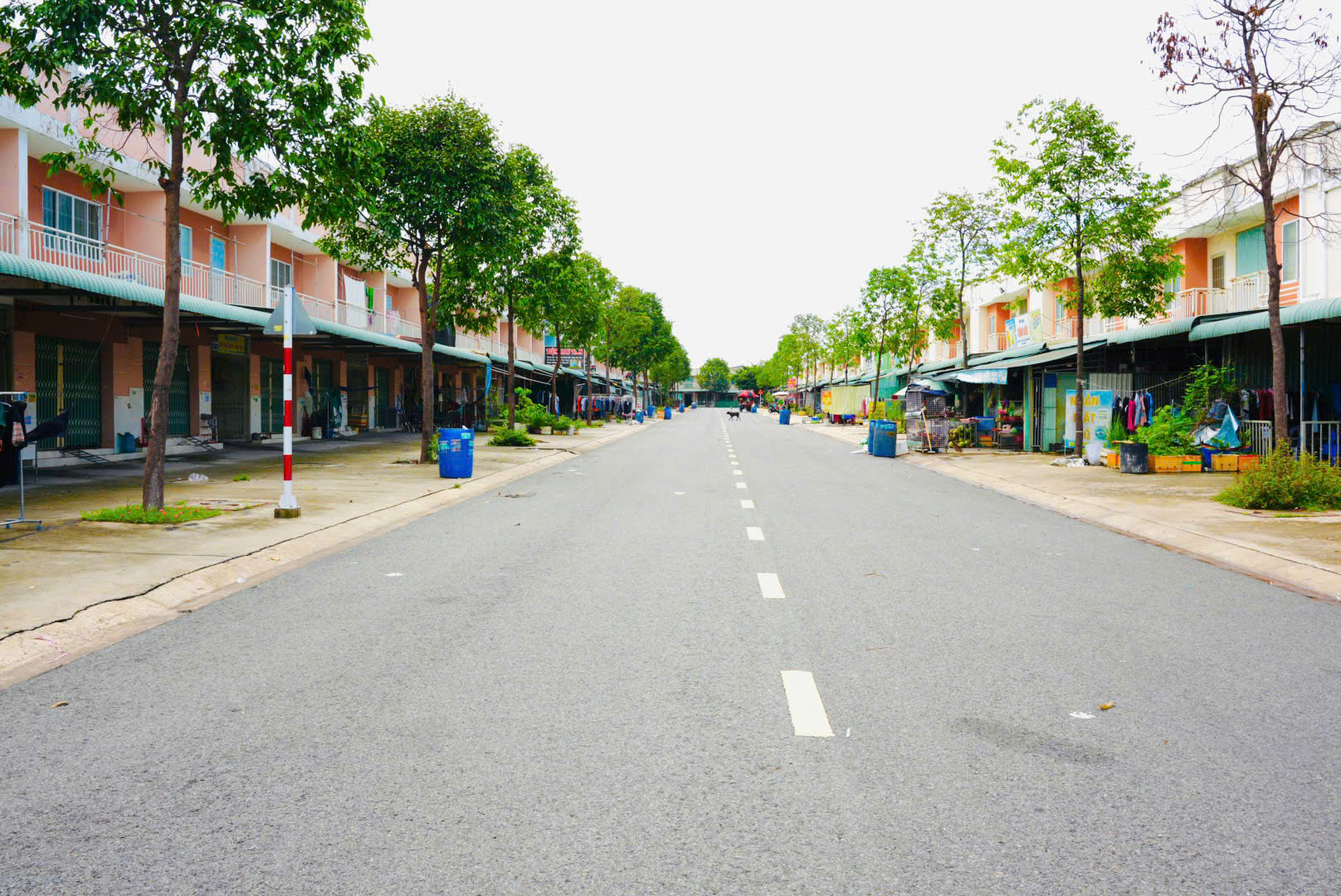 Bán nhà 5×30 có dãy trọ cho thuê, mặt tiền kinh doanh ngay chợ Bàu Bàng – Bình Dương – Tp Hồ Chí Minh