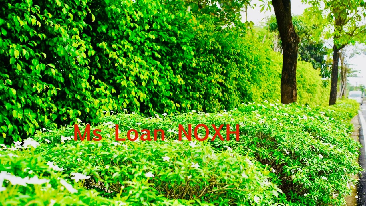 Đặt cọc mua căn hộ xã hội ngay và luôn