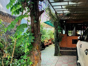 CẦN BÁN NHÀ VƯỜN ĐẸP – MẶT TIỀN ĐƯỜNG LIÊN ẤP 1-2-3, VĨNH LỘC B, BÌNH CHÁNH