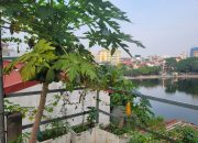 Lê Trọng Tấn , 1 mặt hồ, 1 mặt ngõ, giữa phố, giá trị cốt lõi cuộc sống