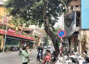 Cơ hội ngàn năm có một Bạch Đằng 100m, 4 tầng, mặt tiền 3.3m, 8.35 tỷ Hai Bà Trưng.