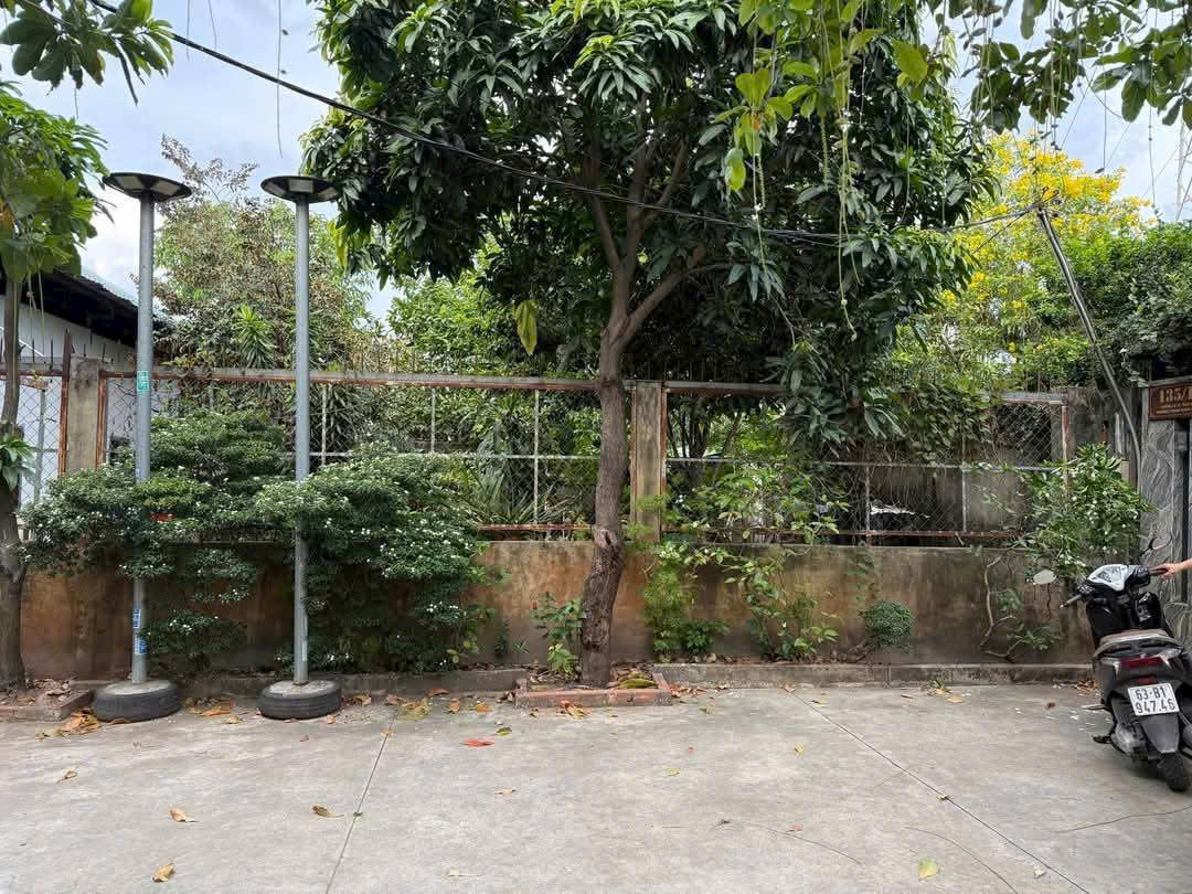ĐẤT NÔNG NGHIỆP MT RẠCH – GẦN UBND THẠNH XUÂN – Q.12 GẦN 2.000M² – CHỈ 12,5 TỶ