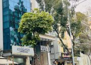 BÁN TÒA NHÀ LÔ GÓC PHÙNG HƯNG- HOÀN KIẾM, 110 M2, MT 10M, GIÁ 138 TỶ.