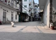 NHANH!PHÂN LÔ,VỈAHÈ OTOTRÁNH,2THOÁNG,2MẶT NGÕ60x6T,MT=5m,giá nhỉnh 14ty