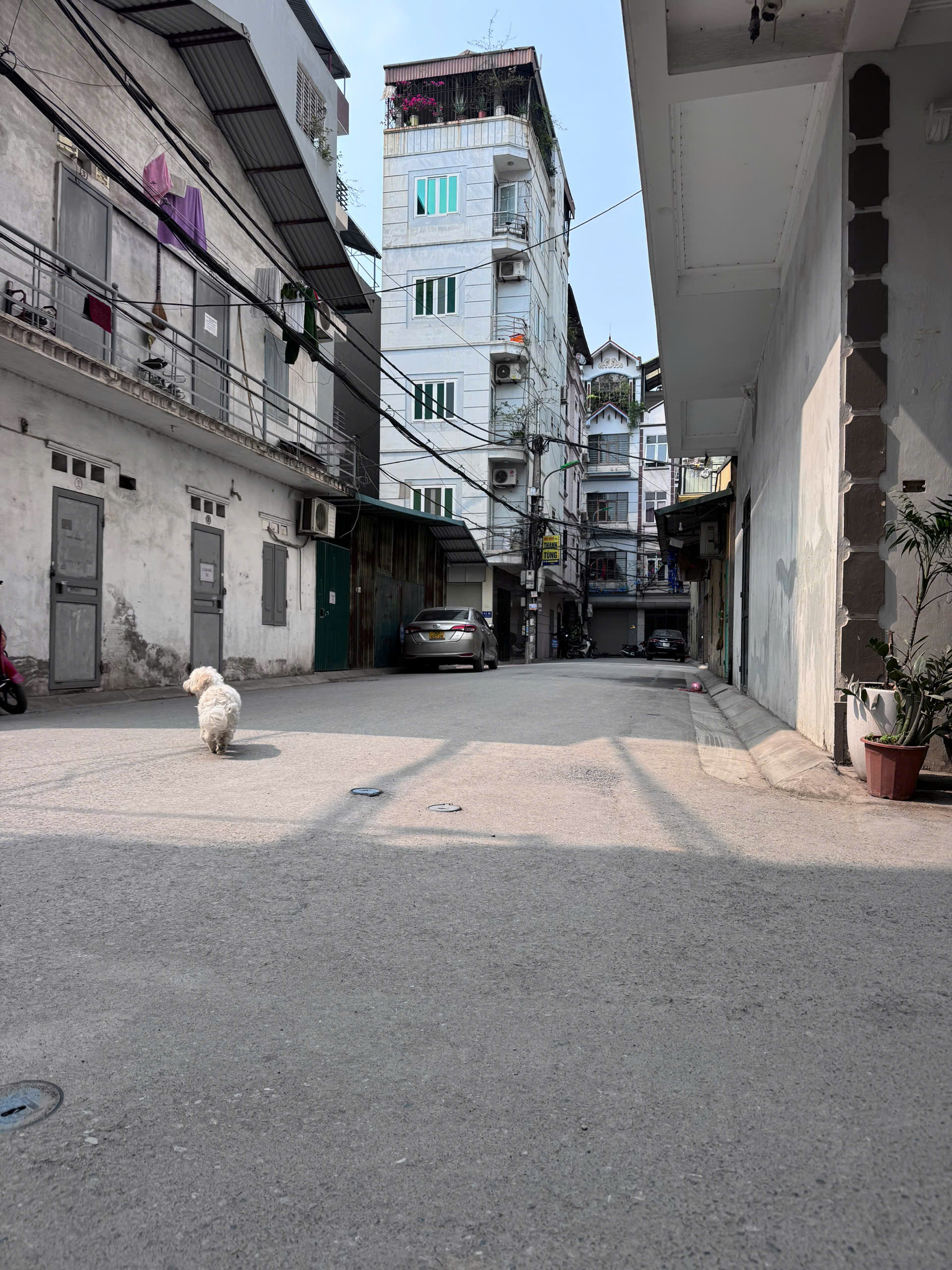 NHANH!PHÂN LÔ,VỈAHÈ OTOTRÁNH,2THOÁNG,2MẶT NGÕ60x6T,MT=5m,giá nhỉnh 14ty