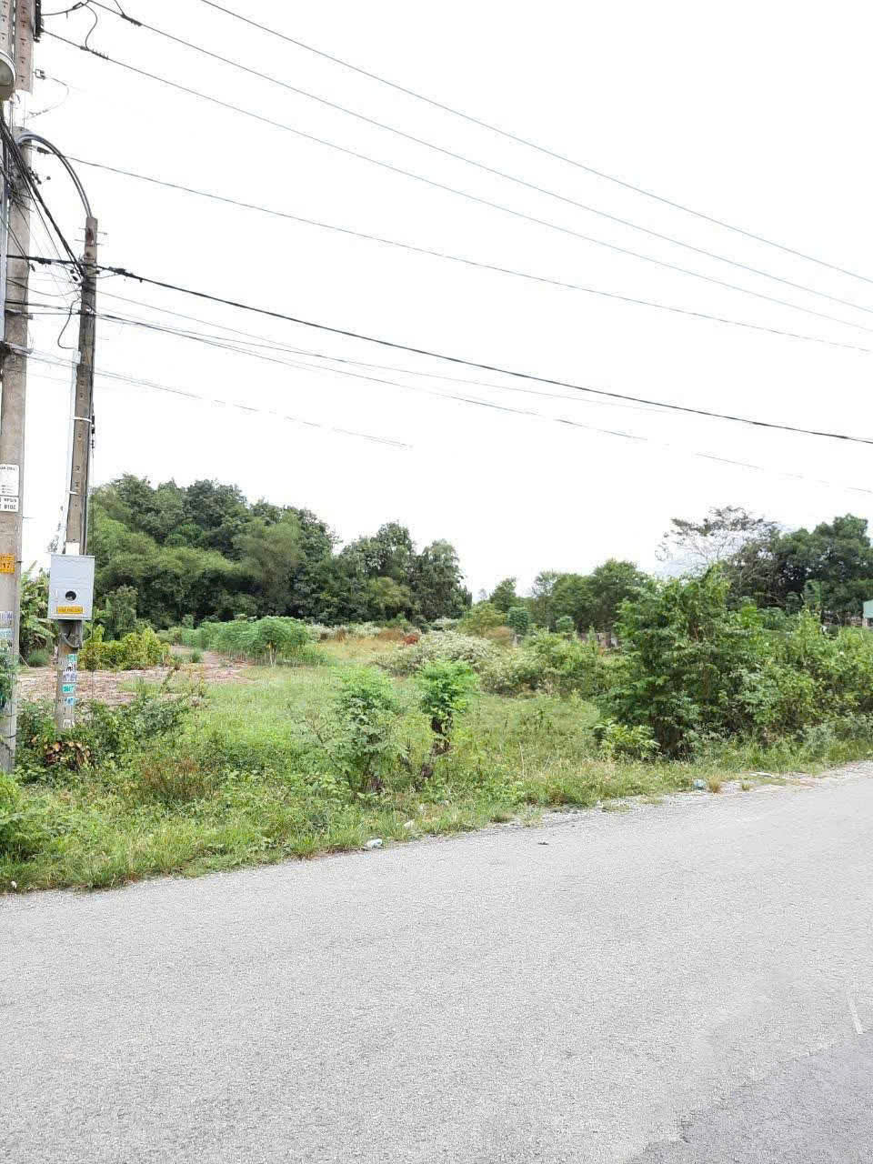 BÁN GẤP 1.949M², NỞ HẬU ĐẸP – ĐẤT MẶT TIỀN SÔNG LU – CỦ CHI