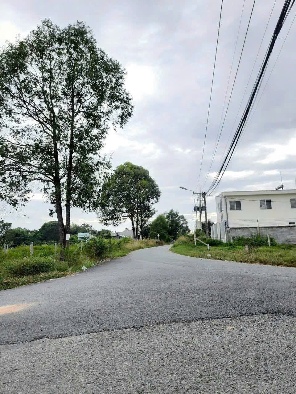 BÁN GẤP 1.949M², NỞ HẬU ĐẸP – ĐẤT MẶT TIỀN SÔNG LU – CỦ CHI