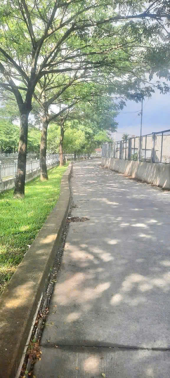 ĐẤT NÔNG NGHIỆP MT RẠCH – GẦN UBND THẠNH XUÂN – Q.12 GẦN 2.000M² – CHỈ 12,5 TỶ