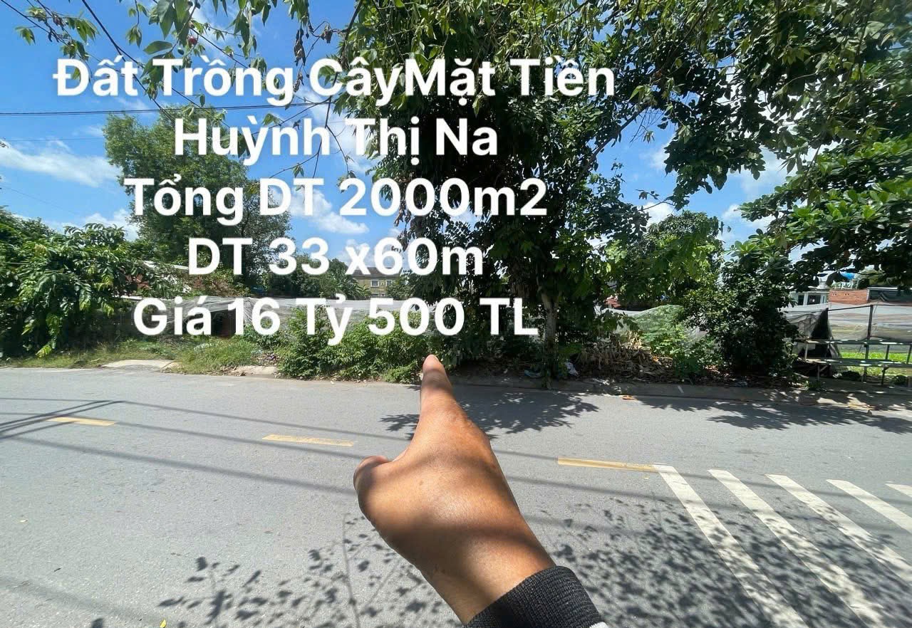 Đất Nguyễn thị Na Đông Thạnh Hóc Môn Hồ Chí Minh 1973m2 có 16,5 tỷ