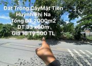 Đất Mặt tiền Huỳnh thị Na Hóc Môn TP.HCM 1973m2 có 16,5 tỷ