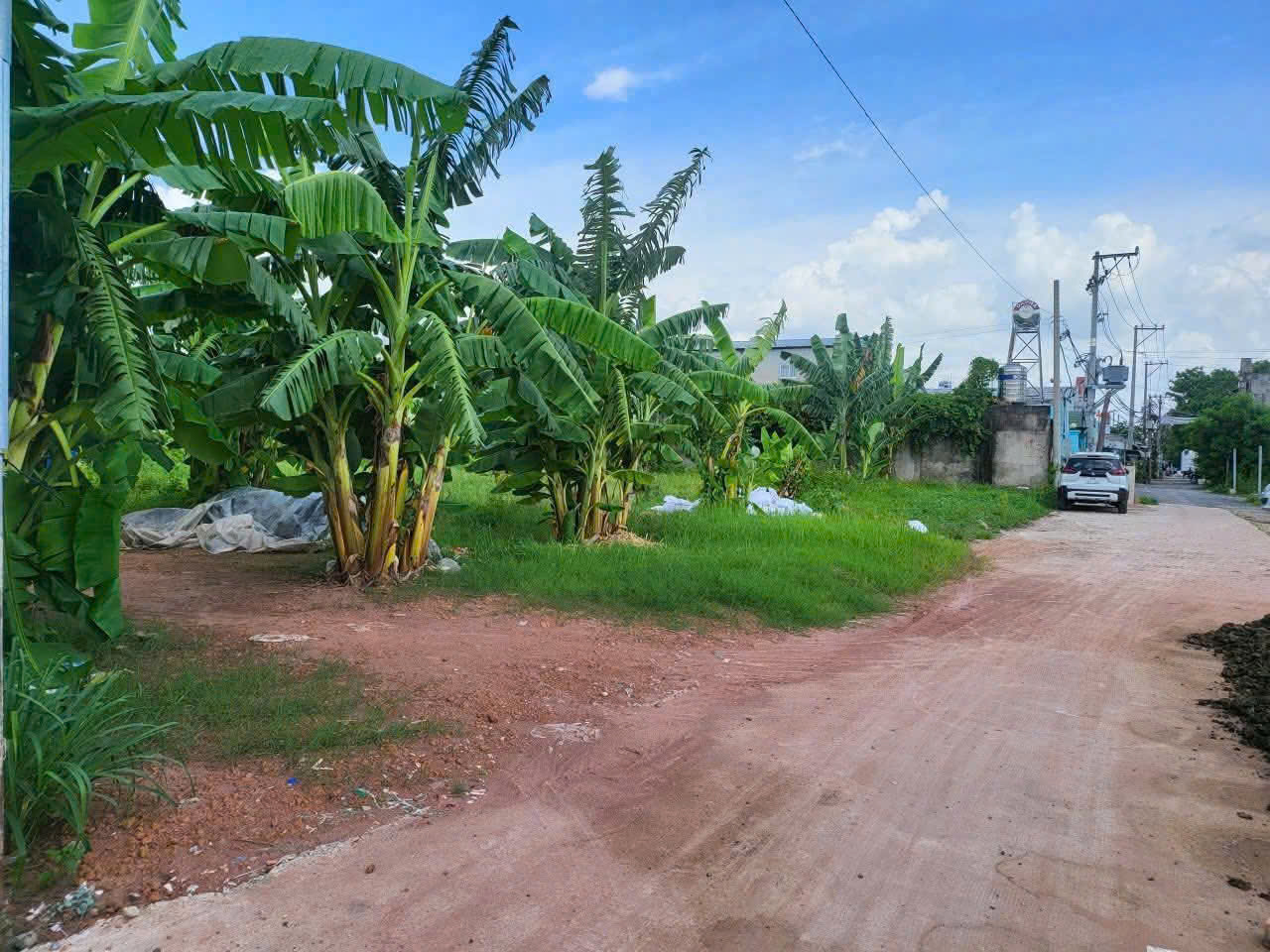 SIÊU PHẨM ĐẤT 1.558M2 – NGAY CHỢ ĐẦU MỐI XUÂN THỚI THƯỢNG – 2 SỔ RIÊNG – CHỈ 19,5 TỶ
