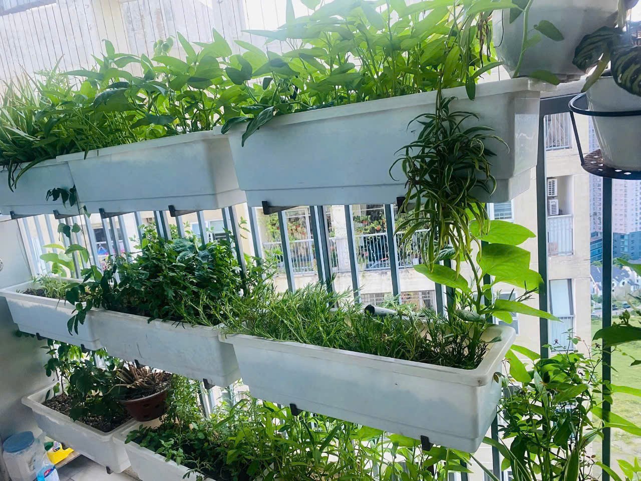 CĂN HỘ VIEW ĐẸP- GIÁ TỐT CẦN BÁN NHANH chính chủ cần bán gấp căn chung cư tại xã An Khánh, Hà Nội.