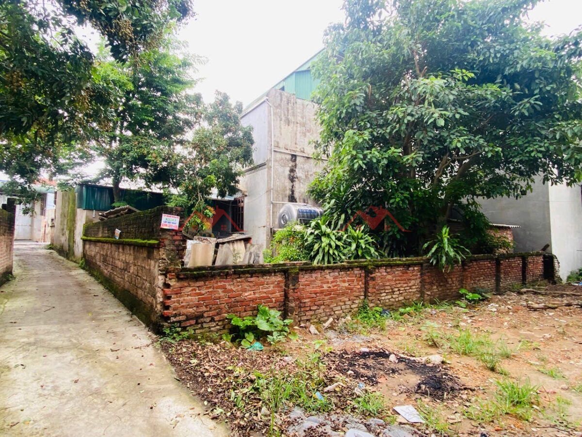 HÀNG FO CHÍNH CHỦ BÁN LÔ ĐẤT 68,6M TẠI PHƯỢNG NGHĨA-PHỤNG CHÂU-CHƯƠNG MỸ-HÀ NỘI