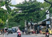 Nhà Mặt Tiền nguyễn Thị Thảnh Hóc môn 430m2 Ngang 10m