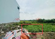 SIÊU PHẨM FO 67,2M TẠI PHỤNG CHÂU-CHƯƠNG MỸ-HÀ NỘI