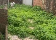 HÀNG MỚI TINH 59,5M TẠI THƯỢNG VỰC-CHƯƠNG MỸ-HÀ NỘI
